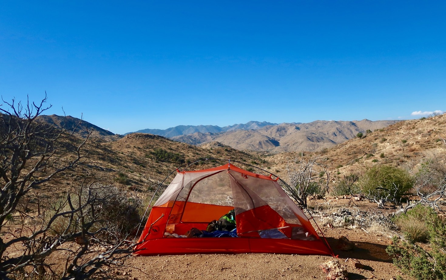 The Best Tents for Every Camping Adventure